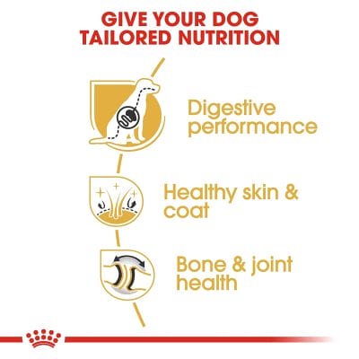 royal canin german shepherd adult
